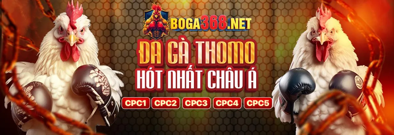 Các loại kèo bóng đá phổ biến