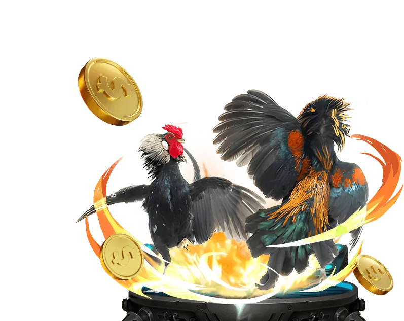 Cá cược bóng đá và các môn thể thao khác