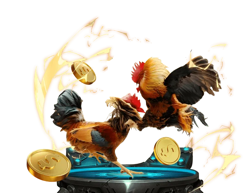 Người chơi phân tích chiến lược cá cược và quản lý tiền